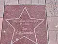 "Звезда - Зоя Самсонова" на аллеи Славы.