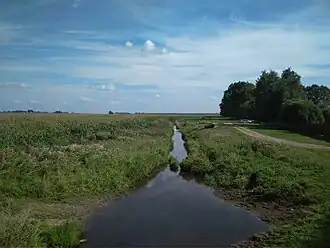 река Жесть (верхнее течение Уздянки)