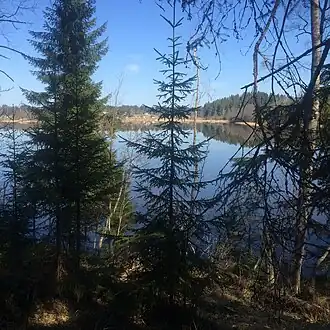 Юго-восточный берег озера.