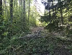 Бывшая карьерная ветка.