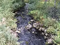 Вид против течения