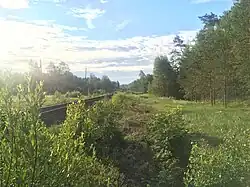 Разобранные боковые пути. Вид в сторону Суйстамо.