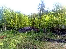 Ступени сгоревшего вокзала.