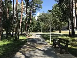 Аллея парка после реконструкции 2018 - 2019 г.г.