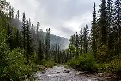 Среднее течение реки летом 2011 года