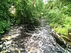 Вид по течению