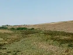 Балка Зелёный Яр в селе Новониколаевка