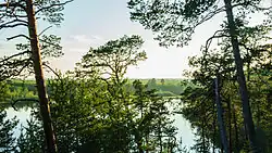 Барсова гора