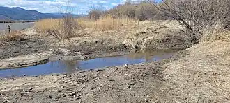 Место впадения речки Нижняя Березовка в Селенгу