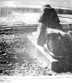 Сфинкс Бехтерева на берегу