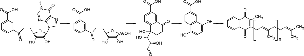 Биосинтез нафтохинонов через футалозин