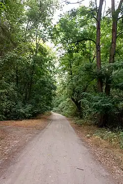 Заповедная часть рощи