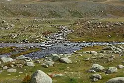 Богуты (справа), Нарын-Гол (вверху), Юстыт (слева)