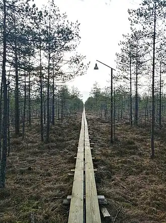 Болото в марте 2020