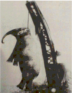 Казнь слонихи Мэри. Кингспорт, Теннесси, США, 1916