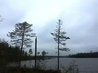 Восточный залив озера