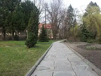 В дендропарке Львовского лесотехнического института