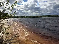 Вид на нежилую деревню Боярскую