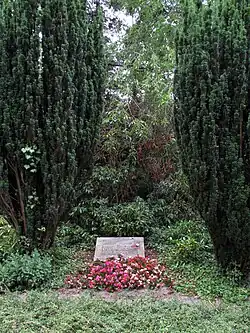 Братская могила жертв войны