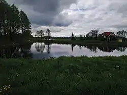 вид на пруд