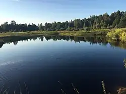 Бузаковский омут на реке Колоденке