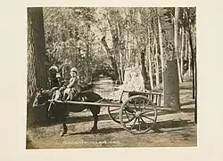 Детская арба, Бухара, 1880-е гг.