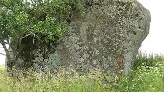 Валун в июле 2016 года