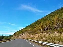 Дорога Р454 в заказнике Мопау. Река Мопау протекает в распадке слева (на фото) от дороги