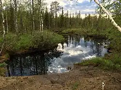 Вид против течения