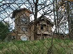 Дом 12. Дача Густава Лесснера — фасад с резьбой