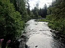 Вид по течению