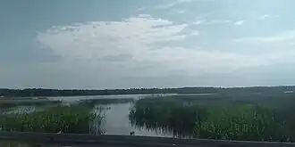 Вашутинское озеро недалеко от деревни