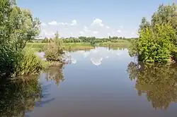 Река в селе Вербовка