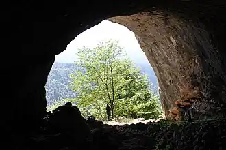 Вид из Мезмайской пещеры на долину реки