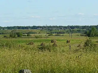 Д. Вахтинская на дальнем плане