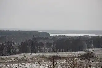 Вид на Волгу с Кокрятской горы.