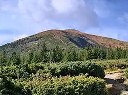 Вид на Говерлу с урочища Модрыны