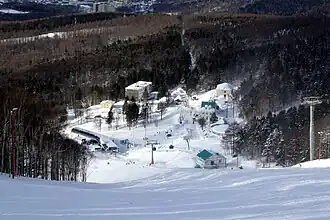 Вид с вершины горы Большевик на «Горный воздух»