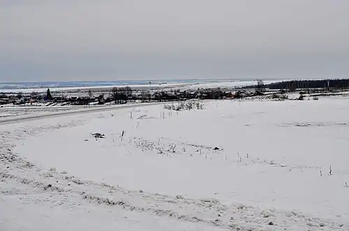 Вид на деревню с северо-западной стороны с дороги. Январь 2014