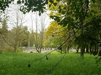 мост-плотина на улице Мичурина