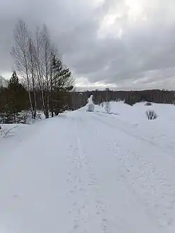 Вид со Школьной горы на Дружную гору зимой