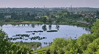 Вид на озеро с Вороньей горы летом 2013 года