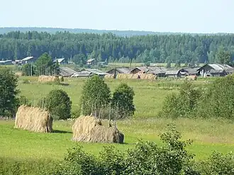 Вид на д. Васильевская и (на дальнем плане) на д. Жихаревская