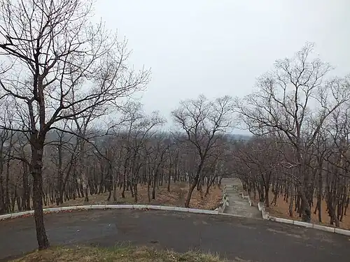 Вид с сопки Июнь-Корань на село Волочаевка-1 (плохая погода, дождь, туман)