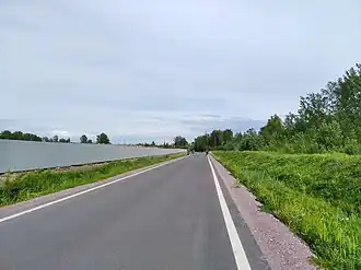 Волго-Донской проспект (вид в сторону реки Охты)