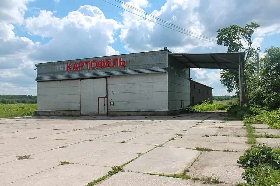 Деревня Воронино, овощехранилище. 2022 год