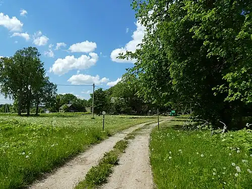 Вид на усадьбу при въезде в деревню (2022)