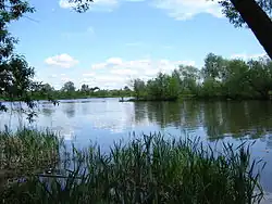 Впадение Пензы в Суру