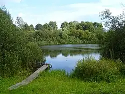 Вторая прудка