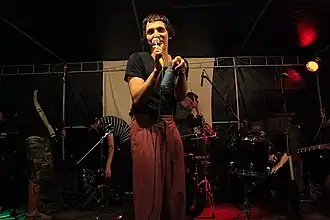 Выступление Панк-фракции Красных бригад на фестивале «Тройка фест» в Красногорске.